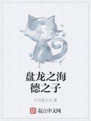 盘龙之海德