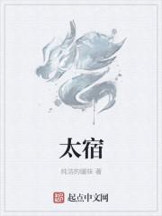 太宿望税务