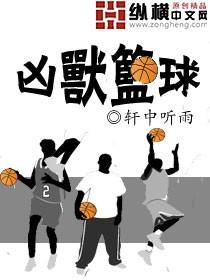 凶兽篮球r