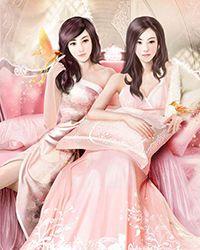本王纳妾王妃在干什么