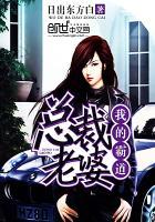 我的霸道总裁老婆陈北沈舒晴结局